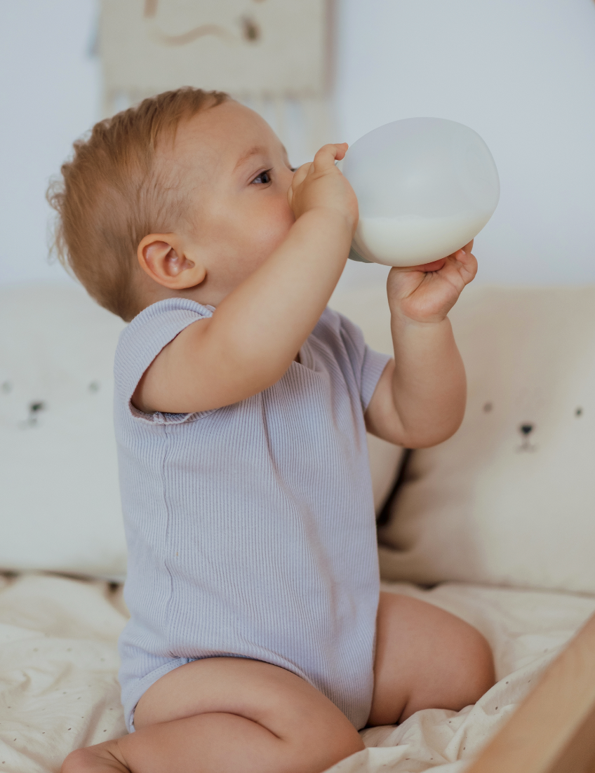 Élhée - Baby bottle 330ml- 11 Oz: Sauge
