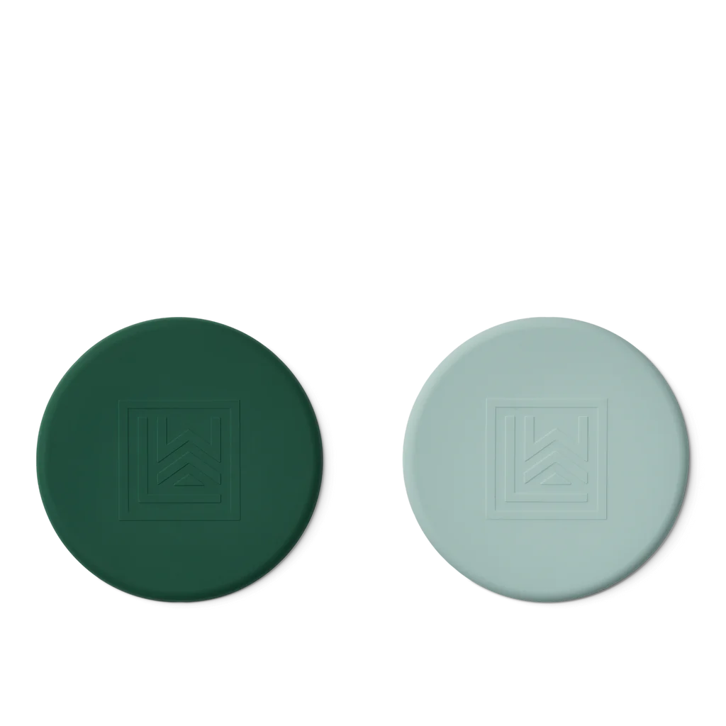 Pack de 2 Frisbee vert et bleu gris