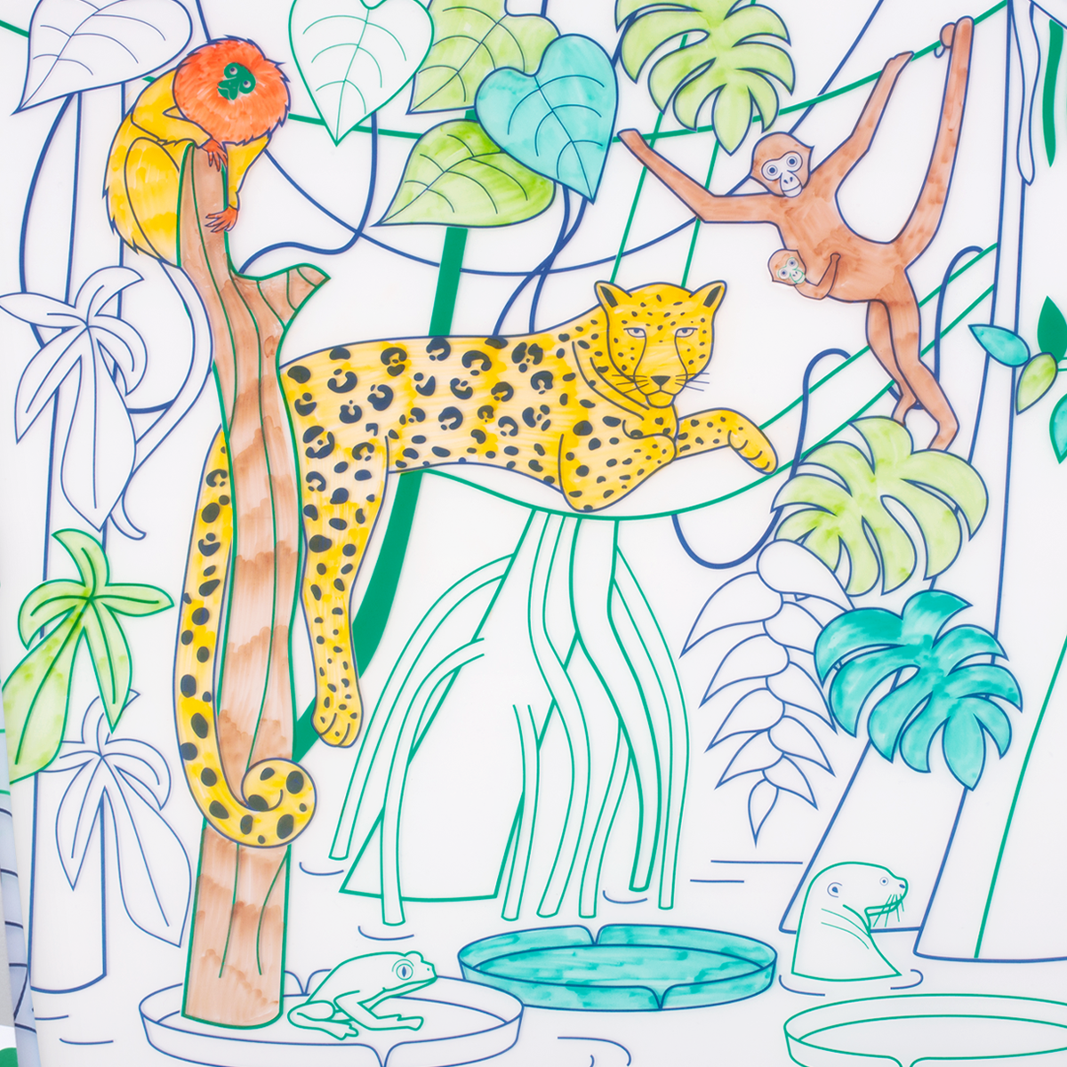 SuperPetit - Coloriage éducatif-Set en silicone AMAZONIA 5 feutres inclus
