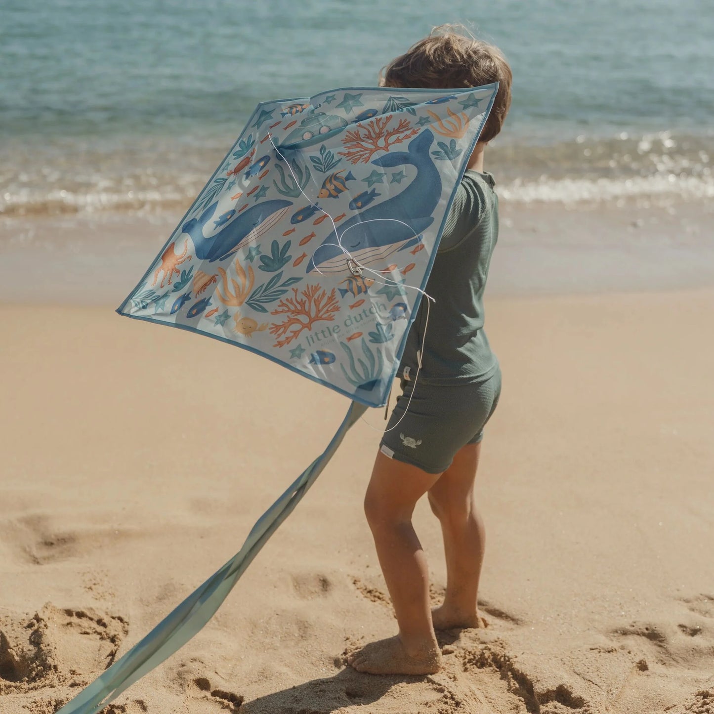 Cerf-volant - Rose - Océan