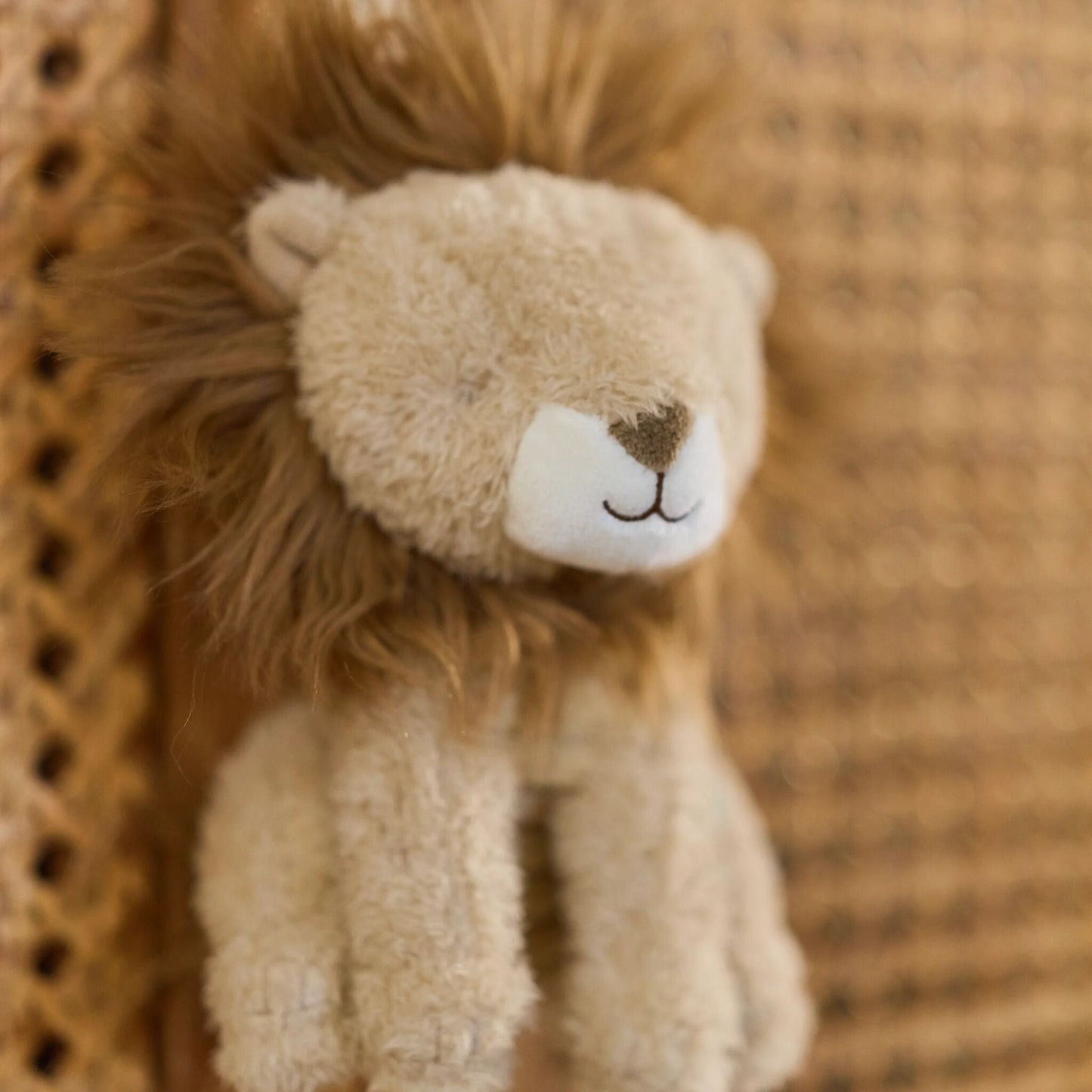 Détail de la boîte à musique Lion Safari Friends