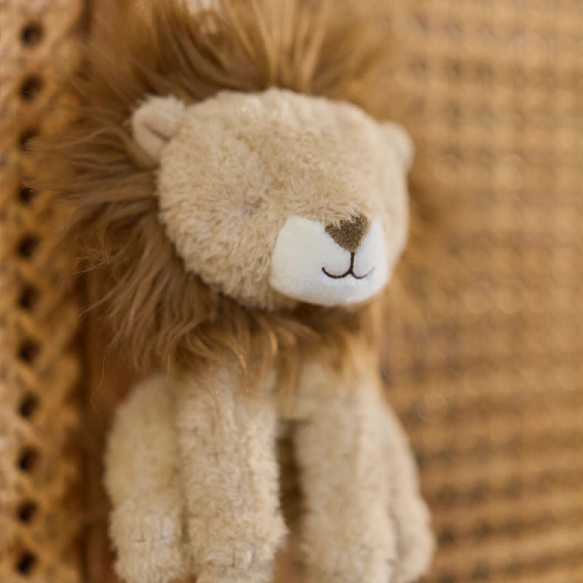 Détail de la boîte à musique Lion Safari Friends