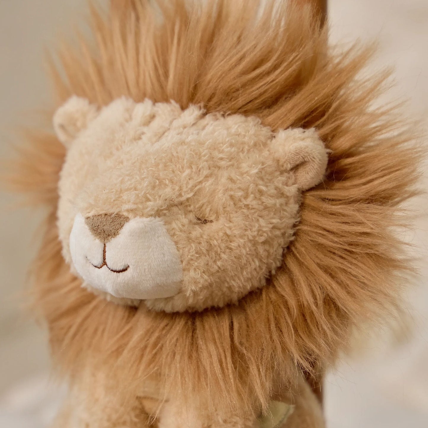 Boîte à musique Lion Little Dutch en situation