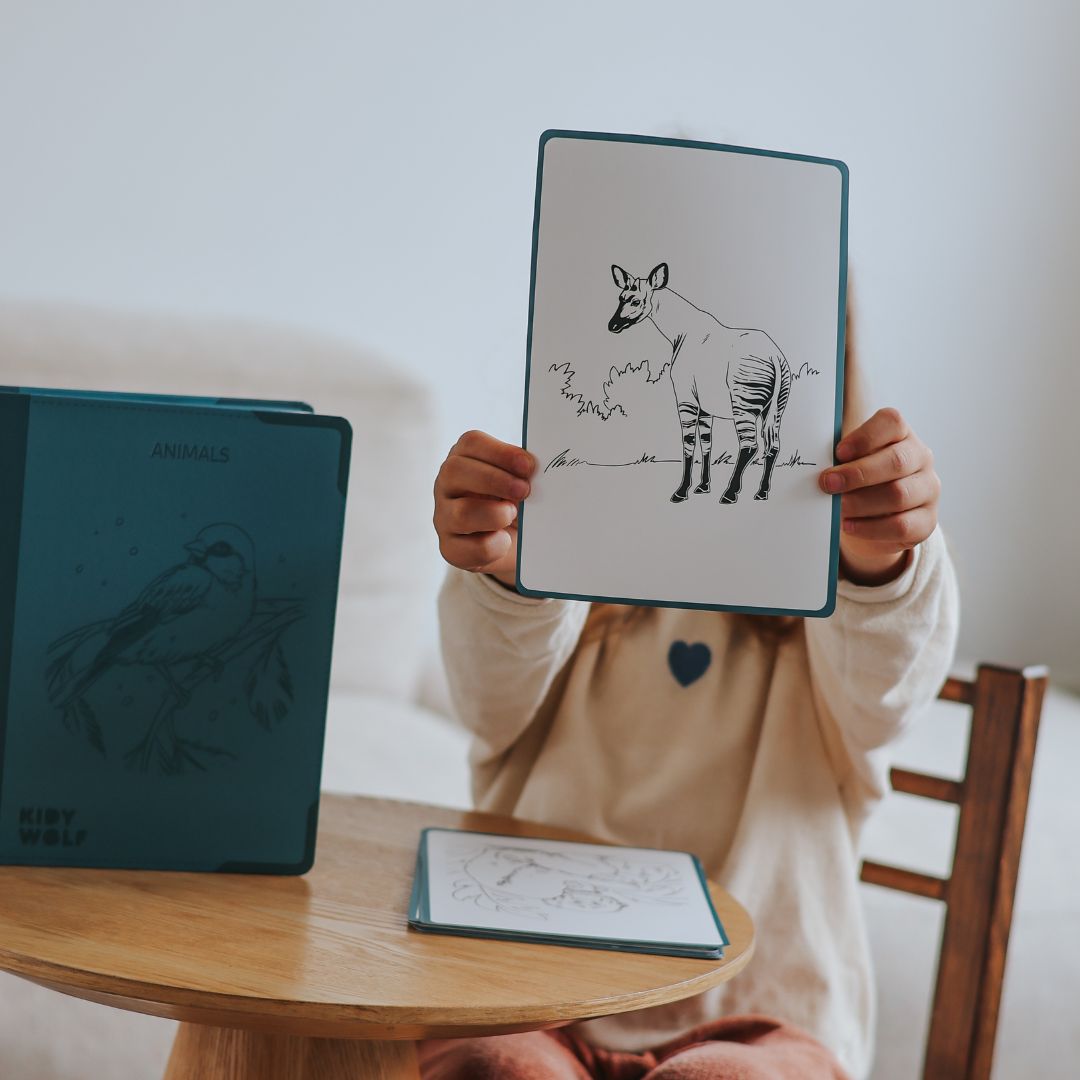 KIDYDRAW Animals enfant concentré