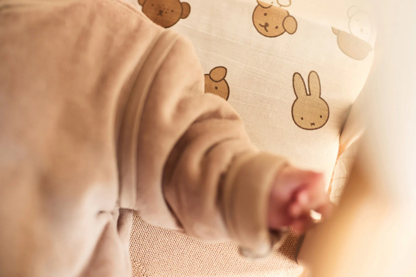 Drap-housse - Jersey - Miffy and Friends