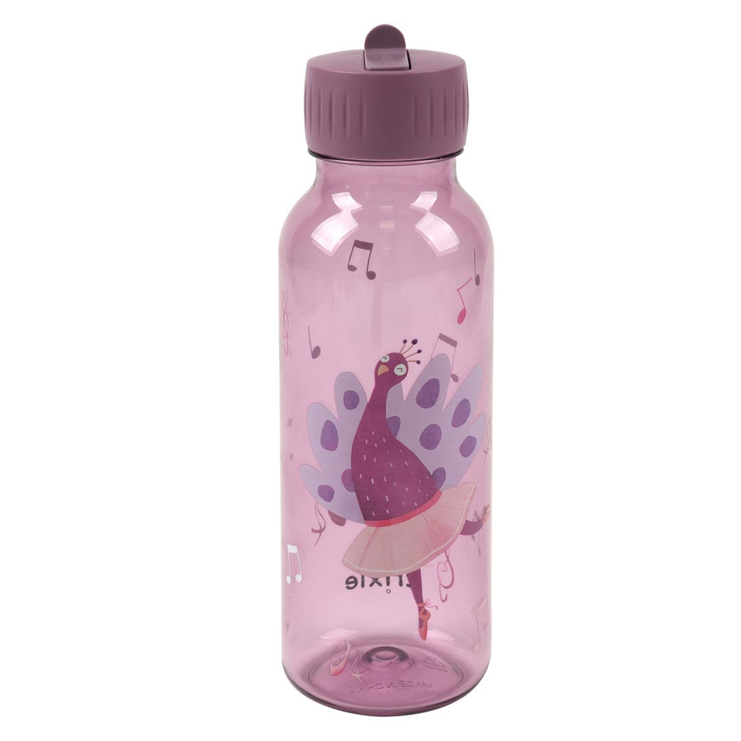 Gourde Tritan 500ml