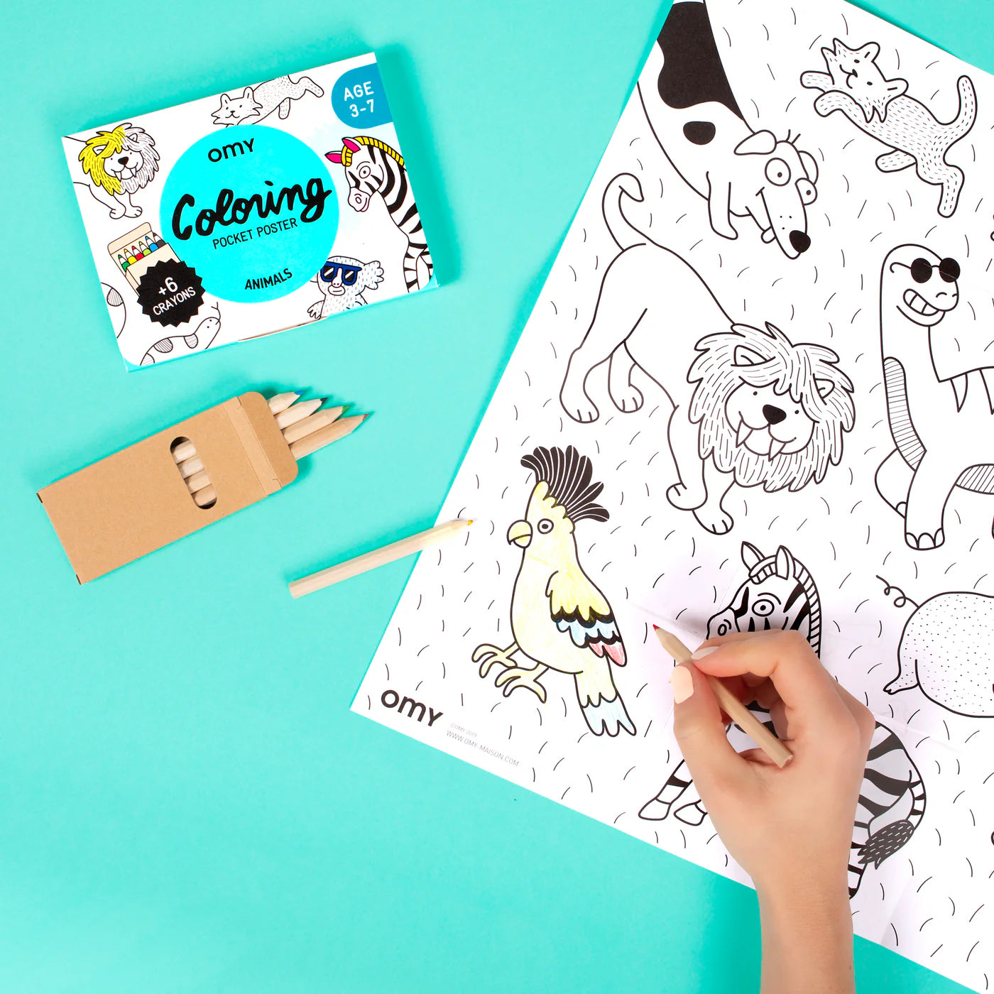 Coloriage pocket