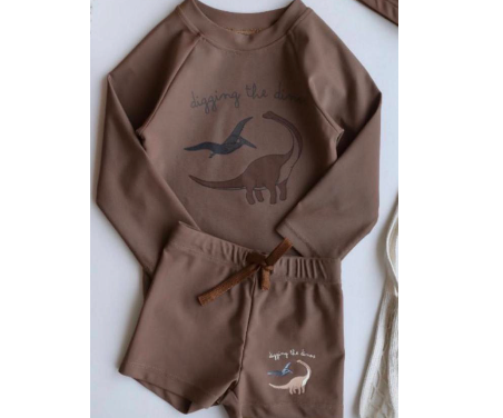 Maillot de bain garçon -  Dinos marron 2 pièces