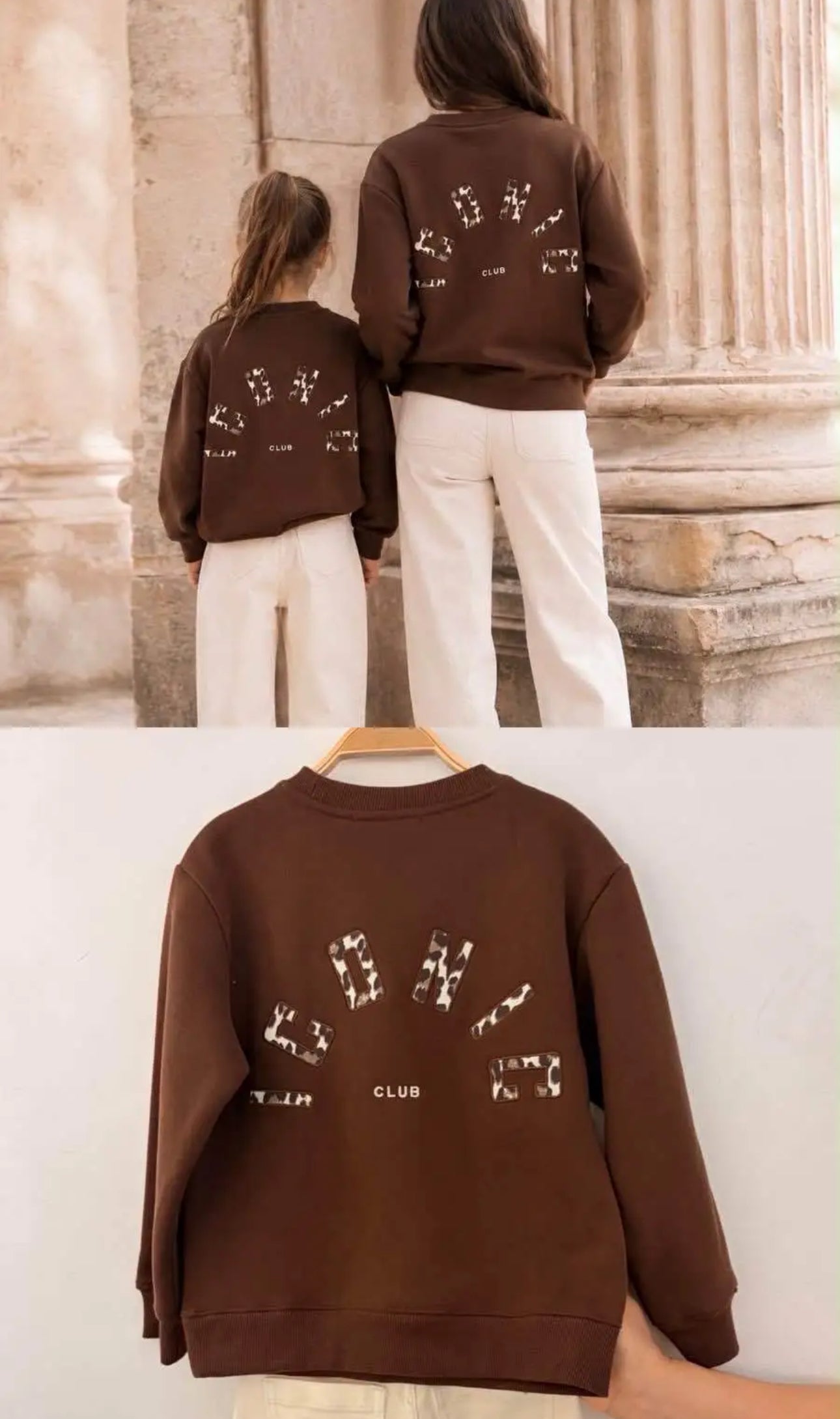 Sweat ICONIC marron léo