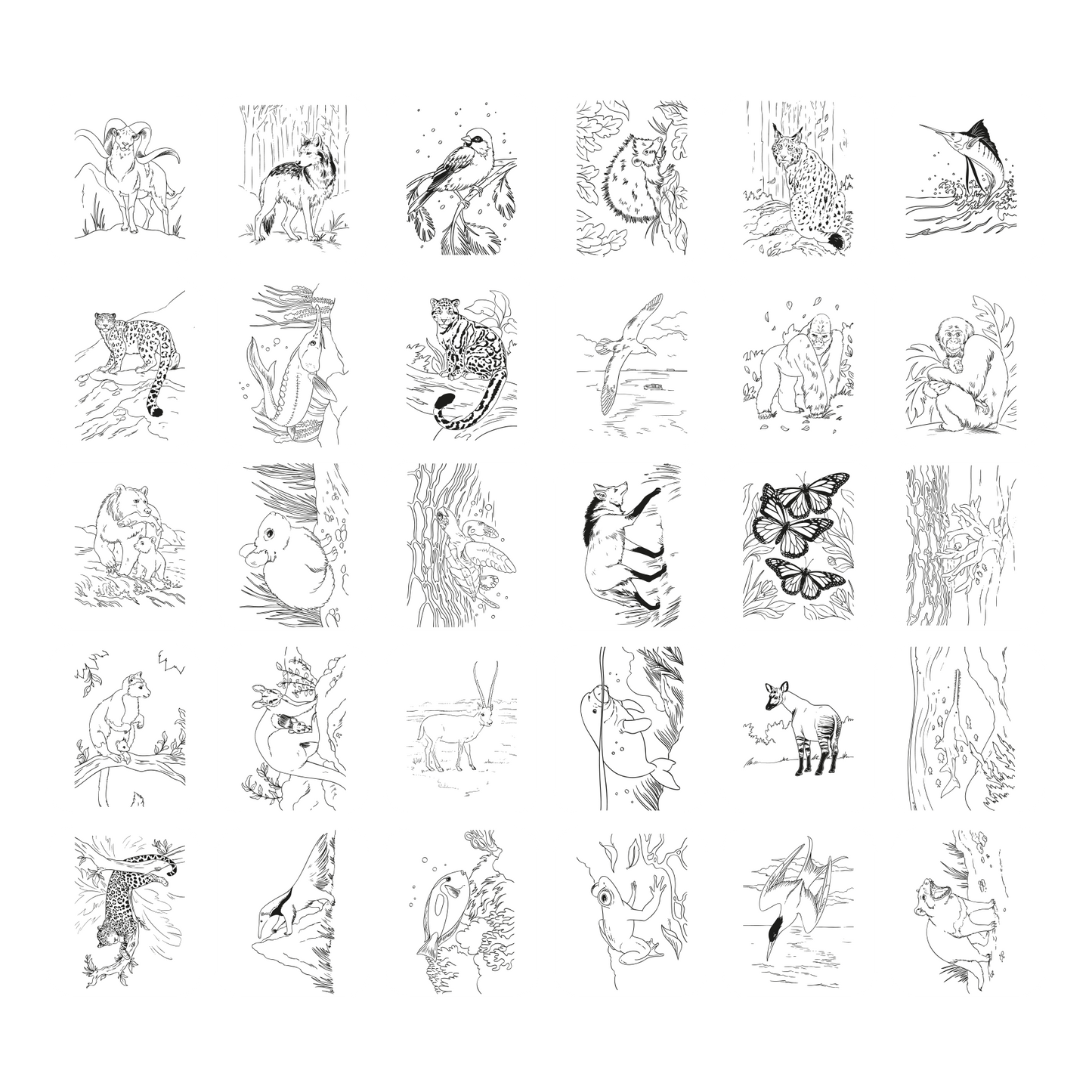 KIDYDRAW Animals illustrations incluses