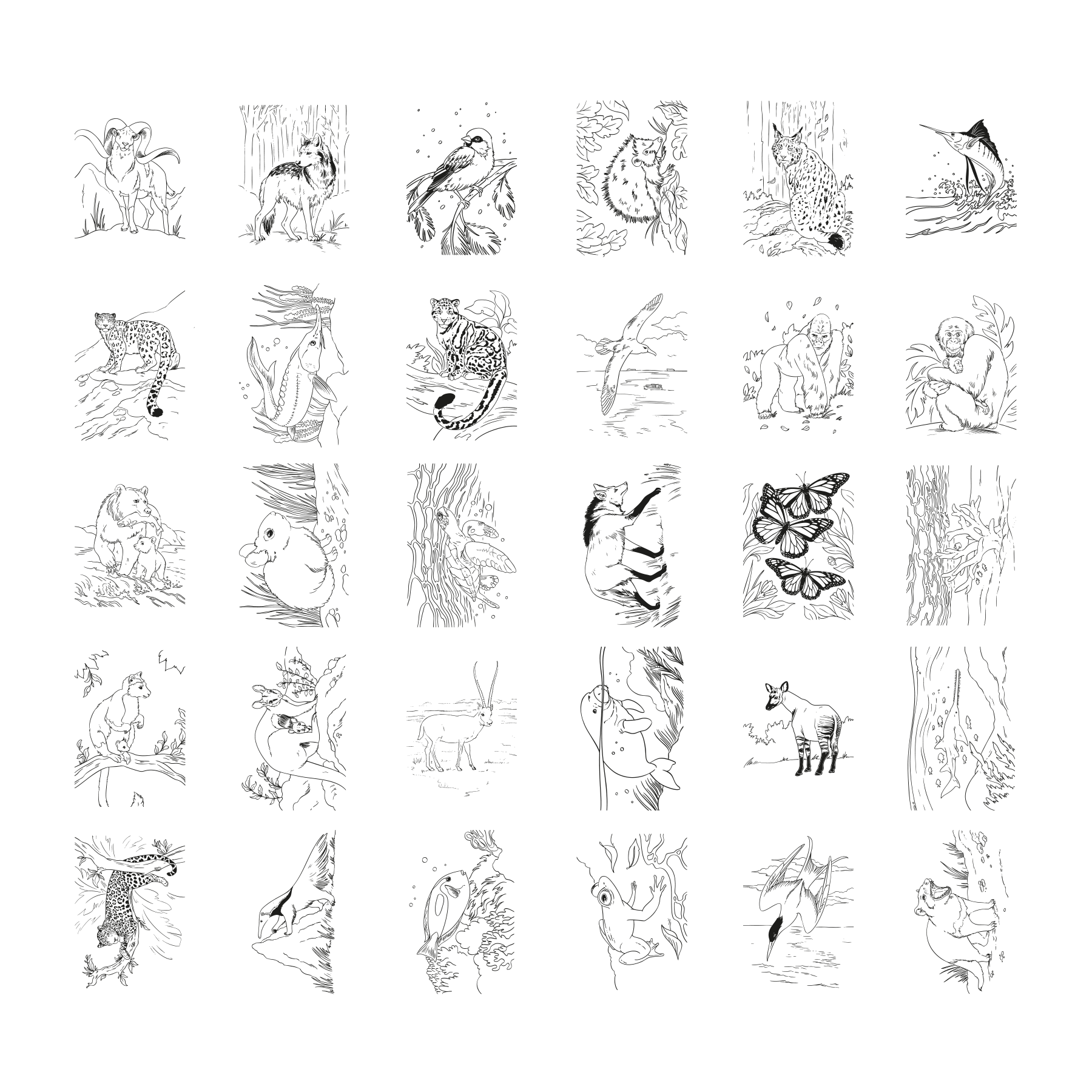KIDYDRAW Animals illustrations incluses