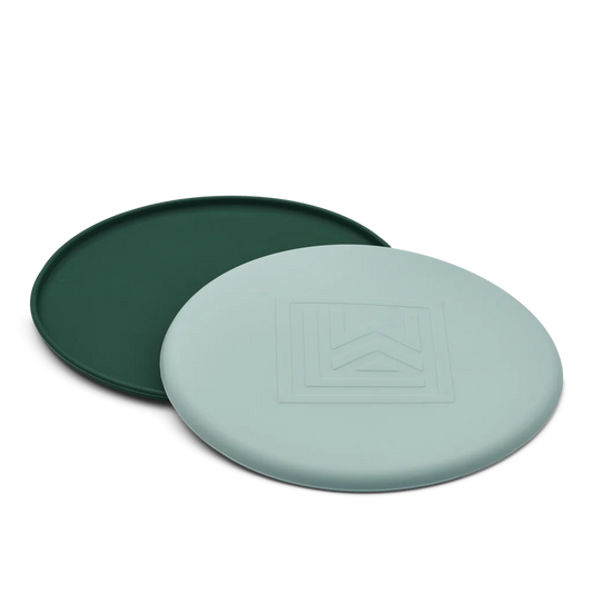 Pack de 2 Frisbee vert et bleu gris