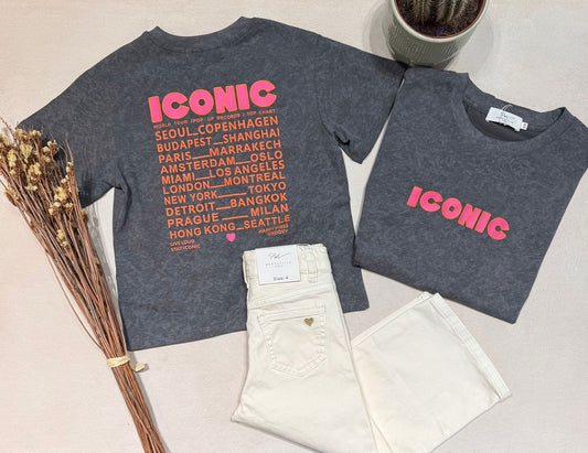 T-shirt gris imprimé "Iconic"
