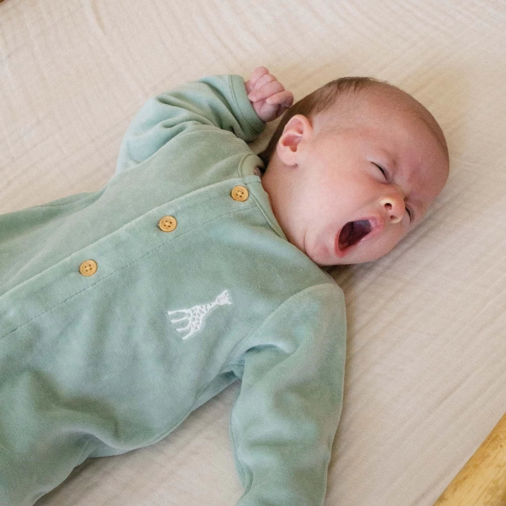 Dors bien naissance - Sophie la girafe Olive