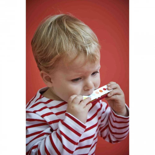 Harmonica Confetti
