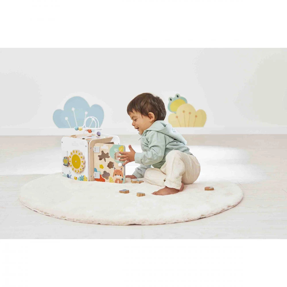 Maxi Cube Multi-Activités Pure